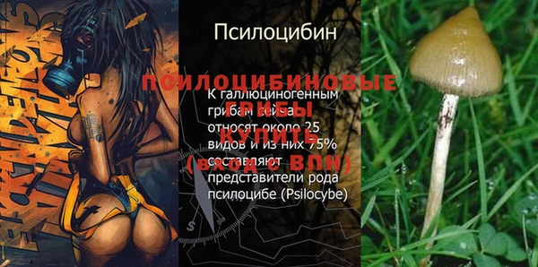 мяу мяу мука Абинск