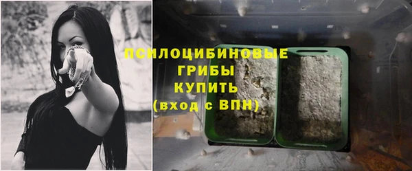 мяу мяу мука Алексин