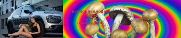 ECSTASY Абаза