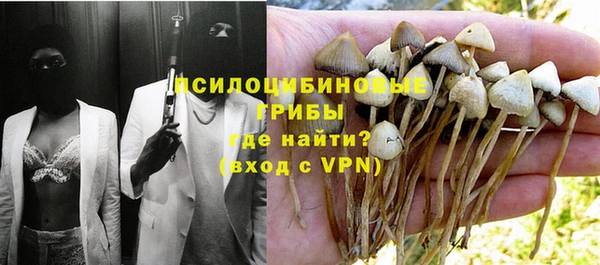 ECSTASY Абаза